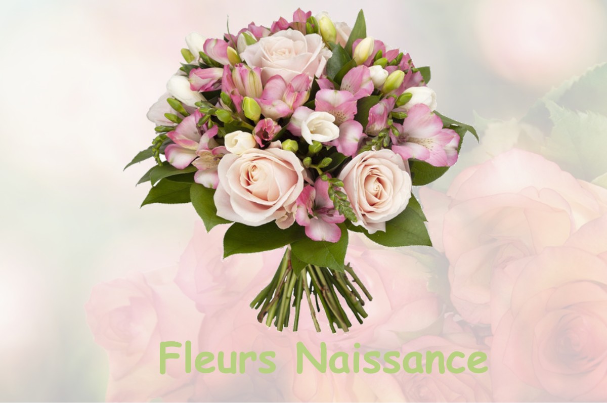 fleurs naissance SAINT-YRIEIX-LA-MONTAGNE